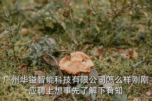 廣州華鎰智能科技有限公司怎么樣剛剛應(yīng)聘上想事先了解下有知