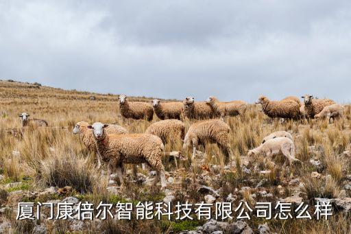 廈門康倍爾智能科技有限公司怎么樣