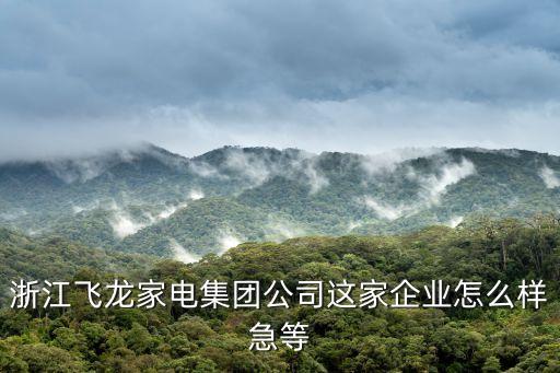 飛龍智能科技洗衣機怎么樣，浙江飛龍家電集團公司這家企業(yè)怎么樣急等
