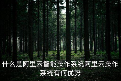 什么是阿里云智能操作系統(tǒng)阿里云操作系統(tǒng)有何優(yōu)勢(shì)