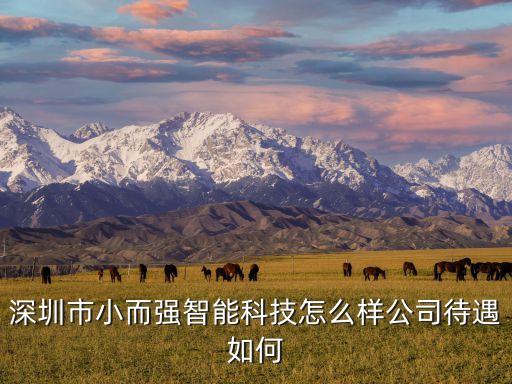 易思維智能科技怎么樣，有聽過易思維英語師資培訓的么怎么樣知道的介紹一下