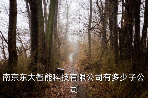 南京智能化科技企業(yè)有哪些，南京的弱電智能化公司有哪些