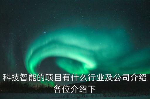 科技智能的項目有什么行業(yè)及公司介紹各位介紹下