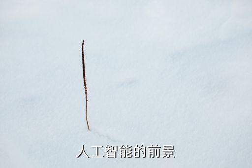 人工智能的前景