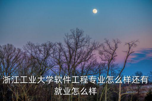 浙江工業(yè)大學(xué)軟件工程專業(yè)怎么樣還有就業(yè)怎么樣