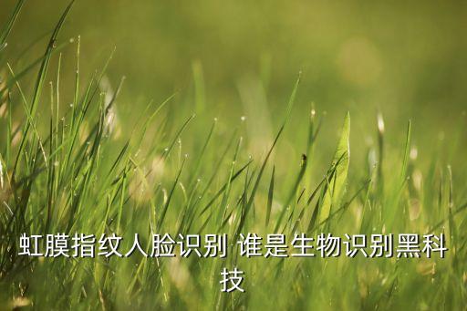 人工智能識別黑科技有哪些，人臉識別技術(shù) 人工智能技術(shù) 六大互聯(lián)網(wǎng)核心技術(shù)有哪些