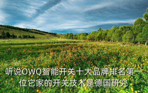閃亮智能科技怎么樣，聽說OWQ智能開關(guān)十大品牌排名第一位它家的開關(guān)技術(shù)是德國研究