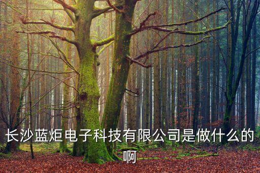 長沙藍炬電子科技有限公司是做什么的啊