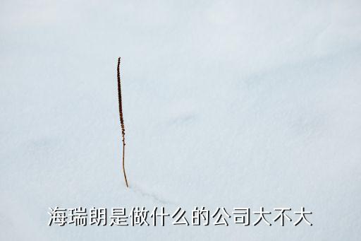 海瑞朗是做什么的公司大不大