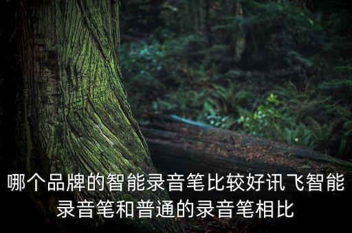 哪個(gè)品牌的智能錄音筆比較好訊飛智能錄音筆和普通的錄音筆相比