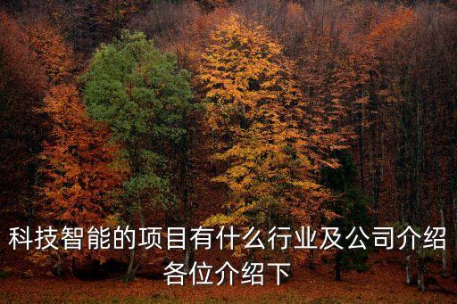創(chuàng)領(lǐng)智能科技項(xiàng)目有哪些，科技智能的項(xiàng)目有什么行業(yè)及公司介紹各位介紹下
