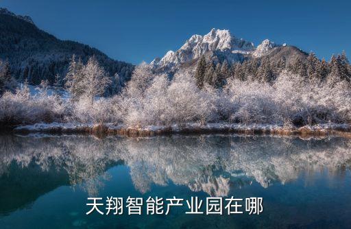 智能產(chǎn)業(yè)科技創(chuàng)新園在哪里，天翔智能產(chǎn)業(yè)園在哪