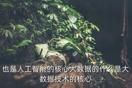 人工智能科技的核心是哪些，也是人工智能的核心大數(shù)據(jù)的什么是大數(shù)據(jù)技術(shù)的核心