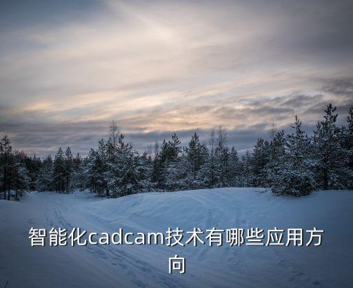 智能化cadcam技術(shù)有哪些應(yīng)用方向