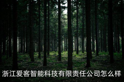 浙江愛客智能科技有限責(zé)任公司怎么樣