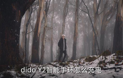 dido Y2智能手環(huán)怎么充電