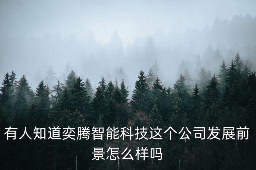 有人知道奕騰智能科技這個公司發(fā)展前景怎么樣嗎