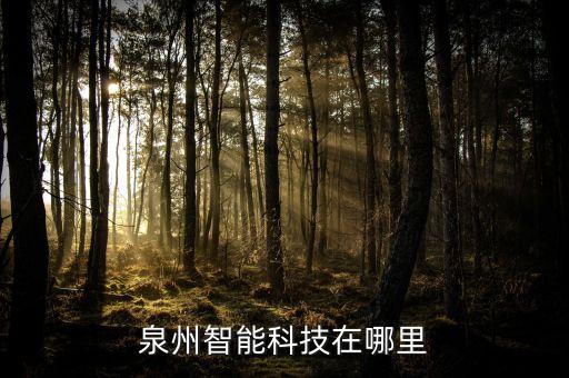泉州智能科技在哪里