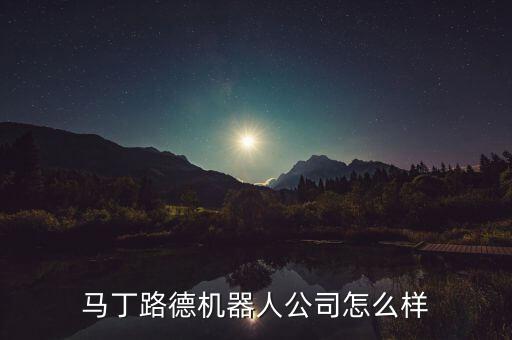 馬丁路德機器人公司怎么樣