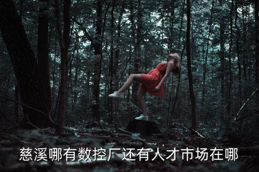慈溪智能機(jī)械科技園在哪里，請問慈溪哪里有可以學(xué)全自動數(shù)控的地方