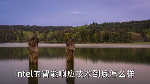 intel的智能響應技術到底怎么樣
