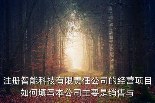 智能科技公司如何經(jīng)營，注冊智能科技有限責(zé)任公司的經(jīng)營項目如何填寫本公司主要是銷售與