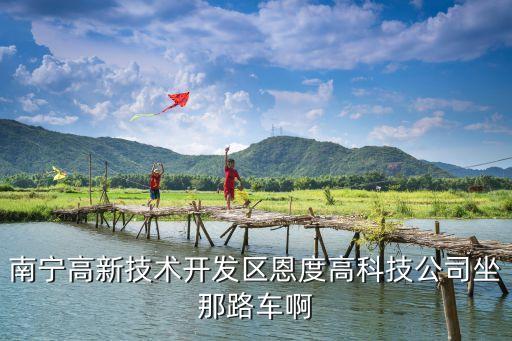 南寧高新技術(shù)開發(fā)區(qū)恩度高科技公司坐那路車啊