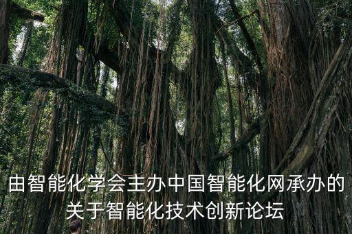由智能化學(xué)會(huì)主辦中國(guó)智能化網(wǎng)承辦的關(guān)于智能化技術(shù)創(chuàng)新論壇