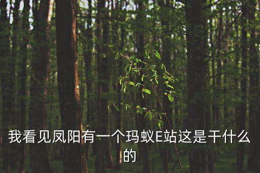 我看見鳳陽有一個瑪蟻E站這是干什么的