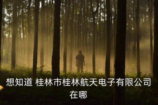 想知道 桂林市桂林航天電子有限公司在哪