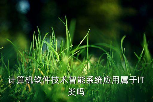 計(jì)算機(jī)軟件技術(shù)智能系統(tǒng)應(yīng)用屬于IT類嗎