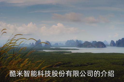 酷米智能科技股份有限公司的介紹