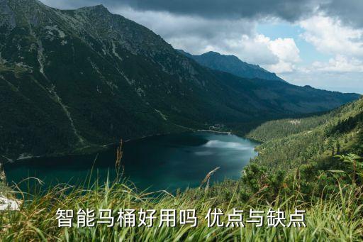 駿鑫科技智能馬桶怎么樣，智能馬桶好不好誰可以說說