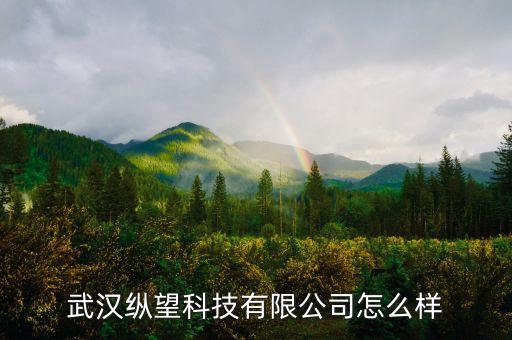 廣州縱望智能科技怎么樣，廣州app開發(fā)公司廣州縱道軟件有限公司怎樣