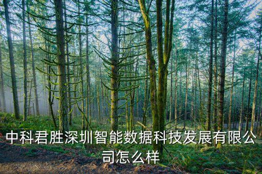 中科君勝深圳智能數(shù)據(jù)科技發(fā)展有限公司怎么樣
