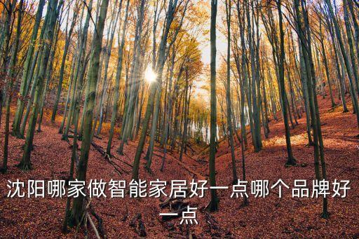 沈陽哪家做智能家居好一點哪個品牌好一點