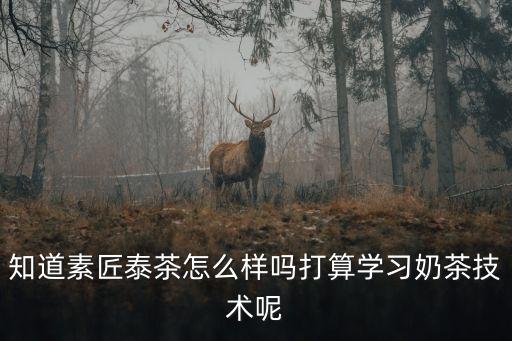 知道素匠泰茶怎么樣嗎打算學(xué)習(xí)奶茶技術(shù)呢