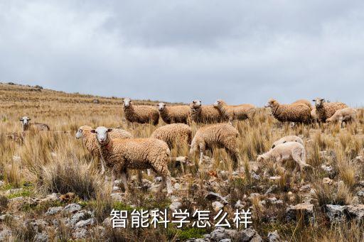 智能科學(xué)怎么樣