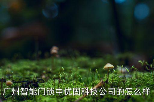 廣州智能門鎖中優(yōu)固科技公司的怎么樣