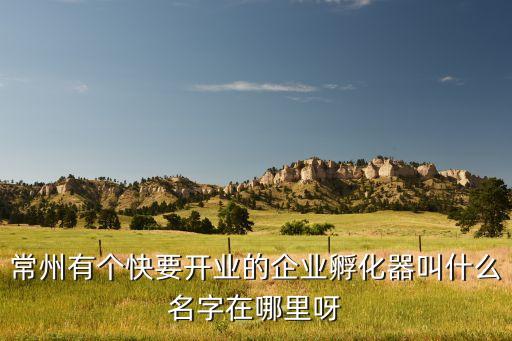 新昌智能科技園地址在哪里，常州有個快要開業(yè)的企業(yè)孵化器叫什么名字在哪里呀