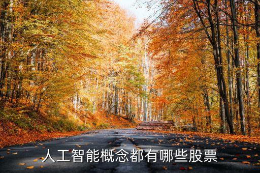 科技股票人工智能股有哪些，人工智能概念都有哪些股票