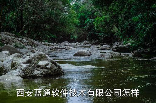 西安藍(lán)通軟件技術(shù)有限公司怎樣