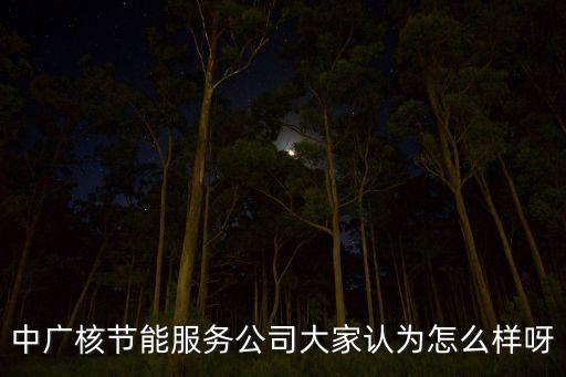 中廣核節(jié)能服務(wù)公司大家認(rèn)為怎么樣呀
