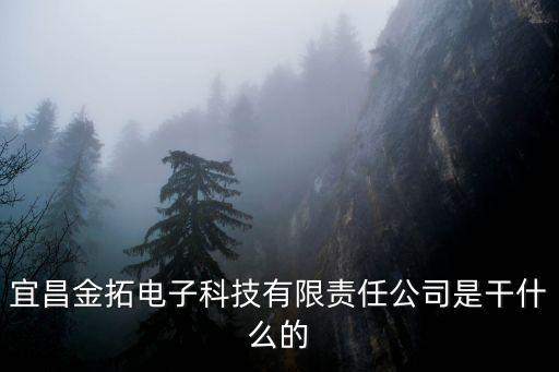 宜昌金拓電子科技有限責(zé)任公司是干什么的