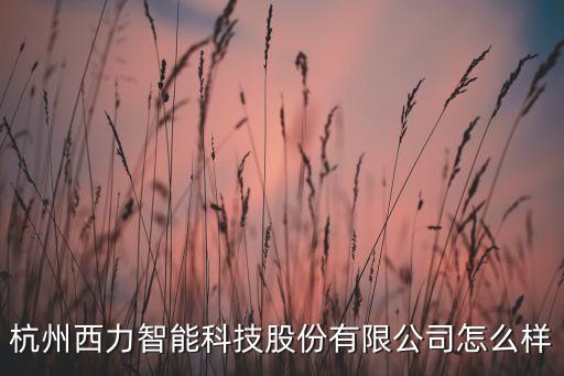 杭州西力智能科技股份有限公司怎么樣