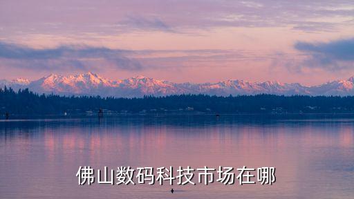 佛山數(shù)碼科技市場在哪