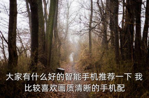 大家有什么好的智能手機(jī)推薦一下 我比較喜歡畫(huà)質(zhì)清晰的手機(jī)配