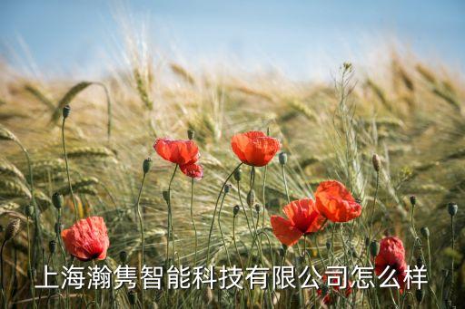 瀚載智能科技怎么樣，上海瀚雋智能科技有限公司怎么樣