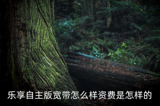 樂享智能科技怎么樣，樂享自主版寬帶怎么樣資費是怎樣的