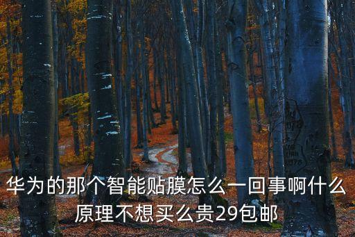 華為的那個智能貼膜怎么一回事啊什么原理不想買么貴29包郵